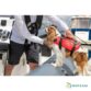 Gilets pour chiens